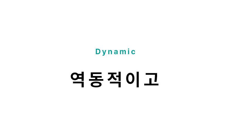 APL-SHB 상세 이미지 5